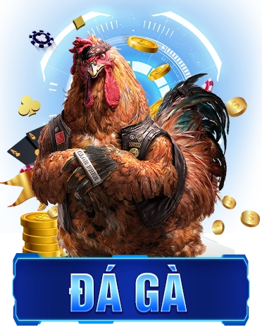 hình đá gà pg66