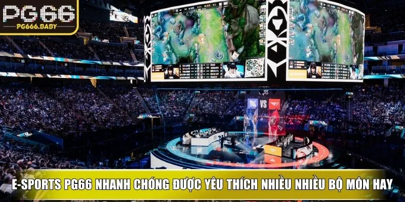 E-sports PG66 nhanh chóng được yêu thích nhiều nhiều bộ môn hay