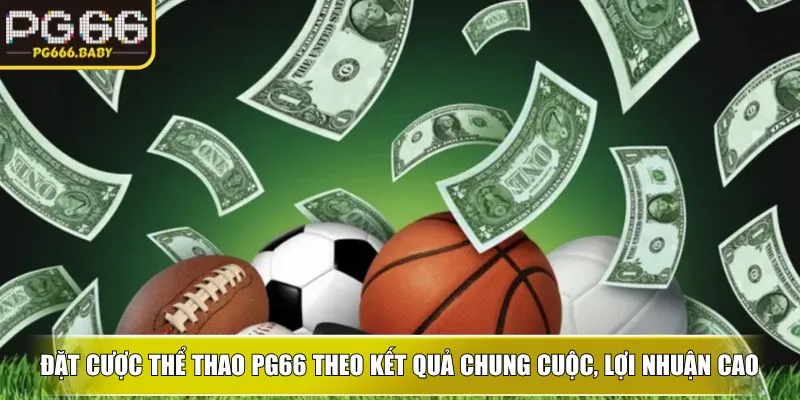 Đặt cược thể thao PG66 theo kết quả chung cuộc, lợi nhuận cao